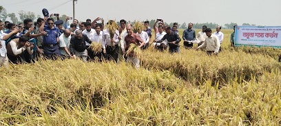 কৃষি কে একটা রোল মডেল হিসেবে দেখতে চান,দিনাজপুর বিরলে কৃষি ও স্বরাষ্ট্র উপদেষ্টা