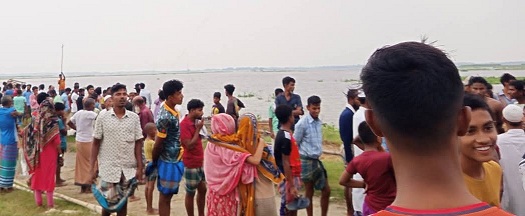 কেন্দুয়ায় গরু