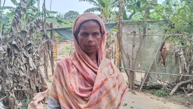 ঝিনাইগাতীতে ৪০ বছরেও গৃহহীন মমেনার ভাগ্যে জুটেনি মাথা গুজার ঠাই