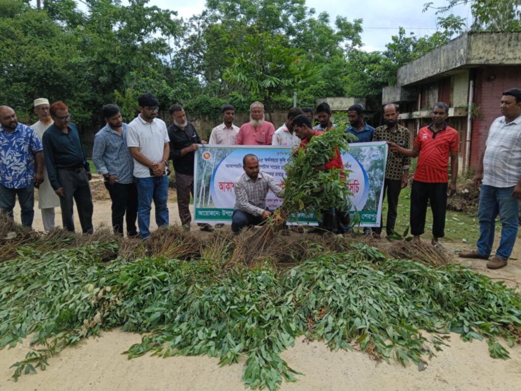 ধ্বংস করা হলো ৪৫ হাজার ইউক্যালিপটাস ও আকাশমনি গাছের চারা
