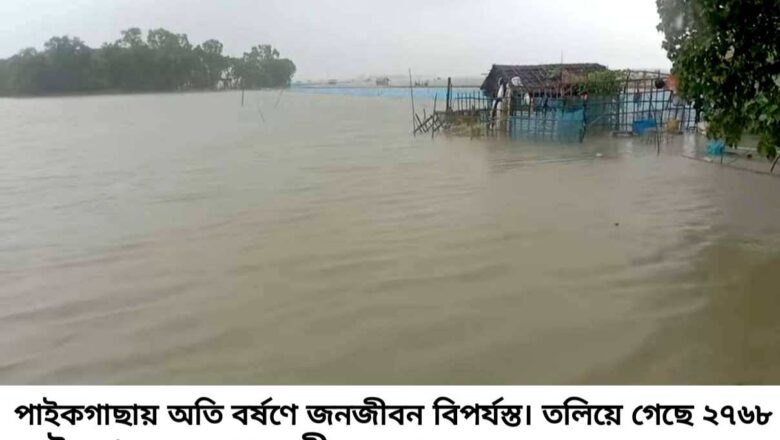 পাইকগাছায় টানা বৃষ্টিতে মৎস্য খাতে ক্ষতি ৭ কোটি ৪০ লাখ টাকা, কৃষিতে ২৭৭ হেক্টর