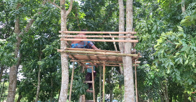 বাঁশের মাচা চৌকি