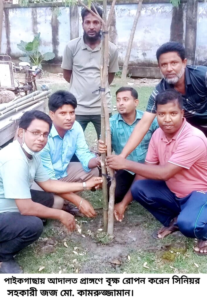 বৃক্ষ রোপন