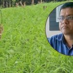 কফি ও কাজুবাদাম প্রকল্পের ক‌য়েক কোটি টাকা পি‌ডির পকে‌টে