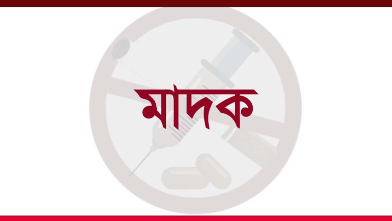 সিলেটে ‘নানা ভাই’র কু–রিসোর্টে নেশা, ব্ল্যাকমেইল আর ভয়—শাপলা হলিডে হোমের ভয়াল অন্ধকার