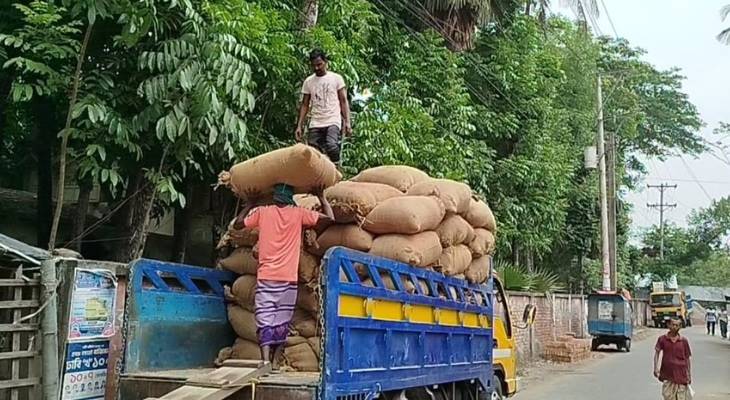 তেরখাদায় পানির দরে বোরো ধান বিক্রি