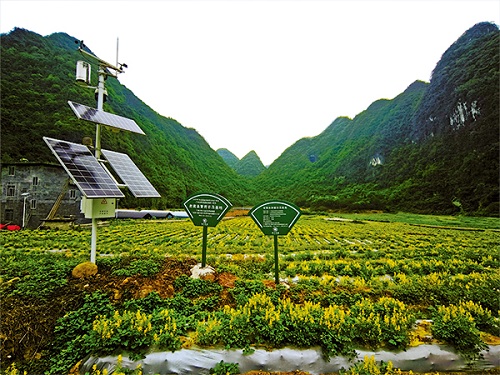 চীনে ভেষজ চায়