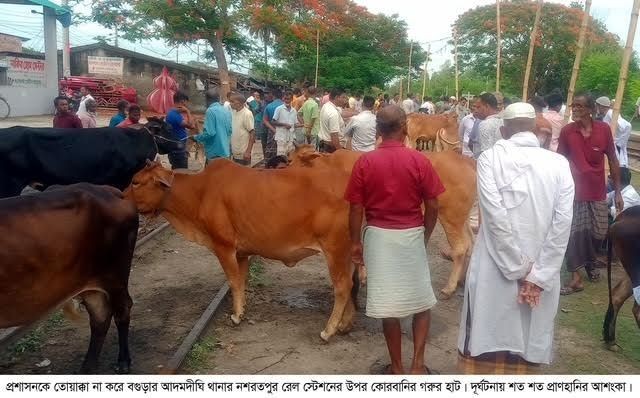 আদমদীঘিতে রেল স্টেশনের উপর কুরবানীর পশুর হাট দূর্ঘটনার আশংকা