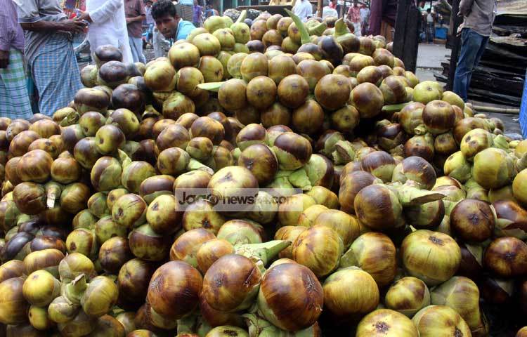 আমতলীতে পানি তাল পারাকে কেন্দ্র করে সংঘর্ষে ২ জন আহত