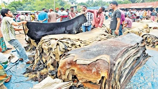 কাঁচা চামড়া নিতে চীনকে অনুরোধ করবে বাংলাদেশ