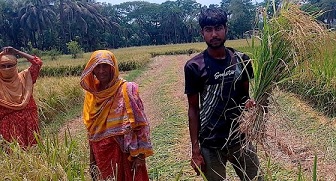 খুলনায় শ্রমিক সংকটে চাষিরা বিপাকে