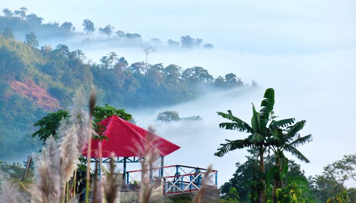 সাজেকের সৌন্দর্য