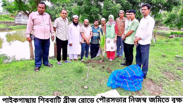 পাইকগাছা পৌরসভায় পৌর প্রশাসকের বৃক্ষ রোপন 