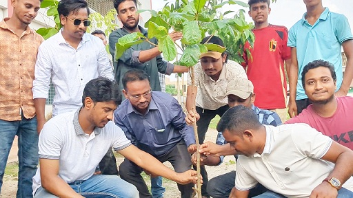 বকশীগঞ্জে ছাত্রদলের বৃক্ষরোপণ কর্মসূচি
