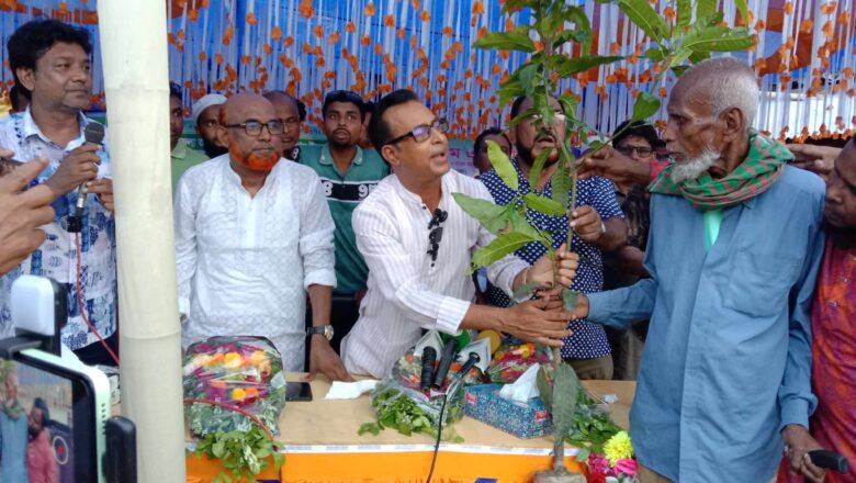মান্দায় বিএনপি’র উদ্যোগে মাসব্যাপী বৃক্ষরোপণ কর্মসূচি
