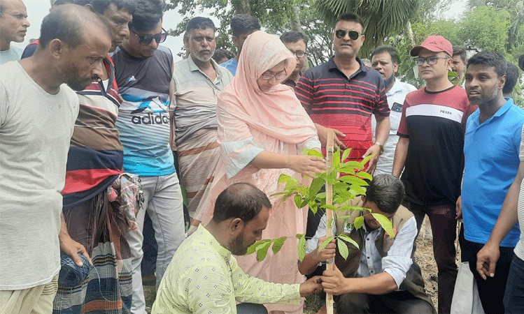 রোপণের উদ্বোধন