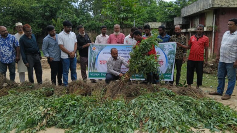 শেরপুরে ধ্বংস করা হলো ৪৫ হাজার ইউক্যালিপটাস ও আকাশমনি গাছের চারা