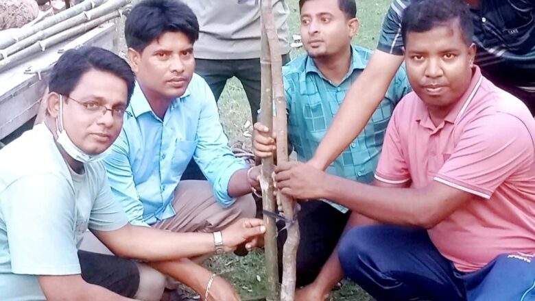 পাইকগাছায় আদালত প্রাঙ্গণে বৃক্ষ রোপন 