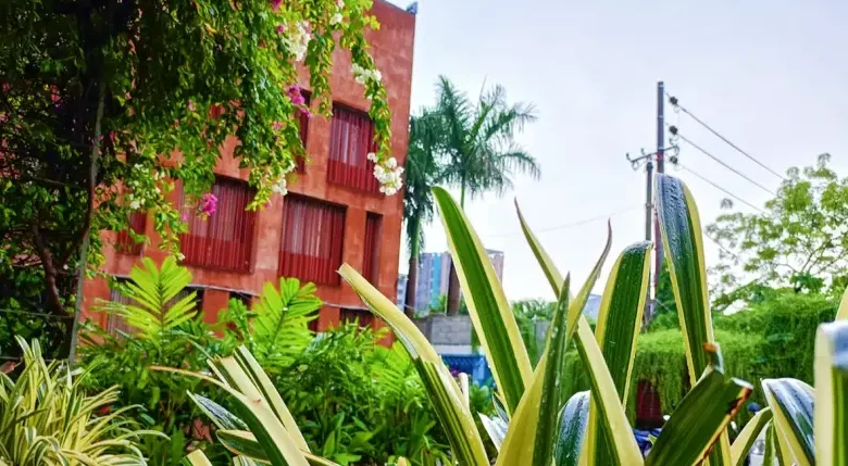 বৃষ্টিতে জেগে ওঠে ডিআইইউ ক্যাম্পাসের কাব্যিক রূপ