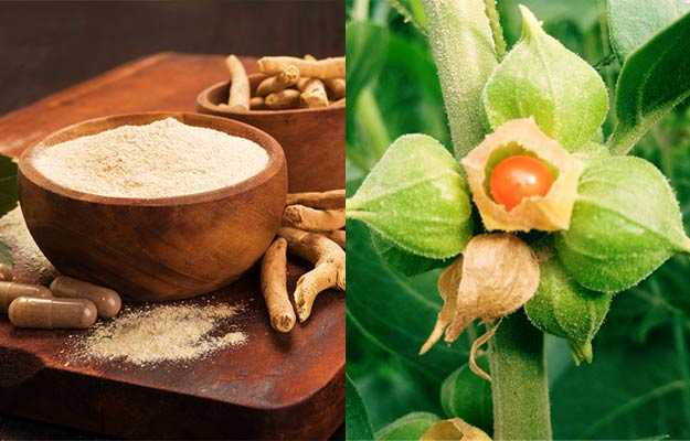 অশ্বগন্ধা