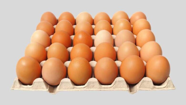 যে খাবারগুলো কখনই ফ্রিজে রাখা উচিত নয় এবং কেন নয়