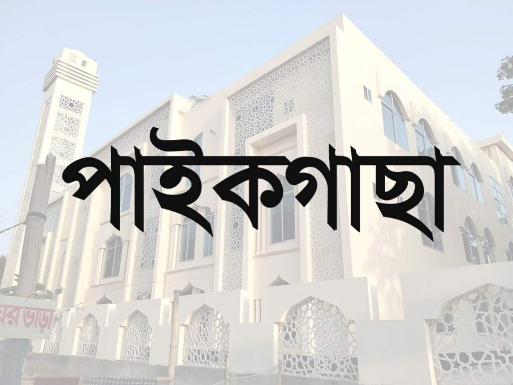 পাইকগাছা উপজেলা