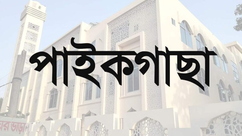 পাইকগাছায় মৎস্য লীজ ঘেরের বাঁধ কেটে লুটপাট ও ভাংচুরের অভিযোগ