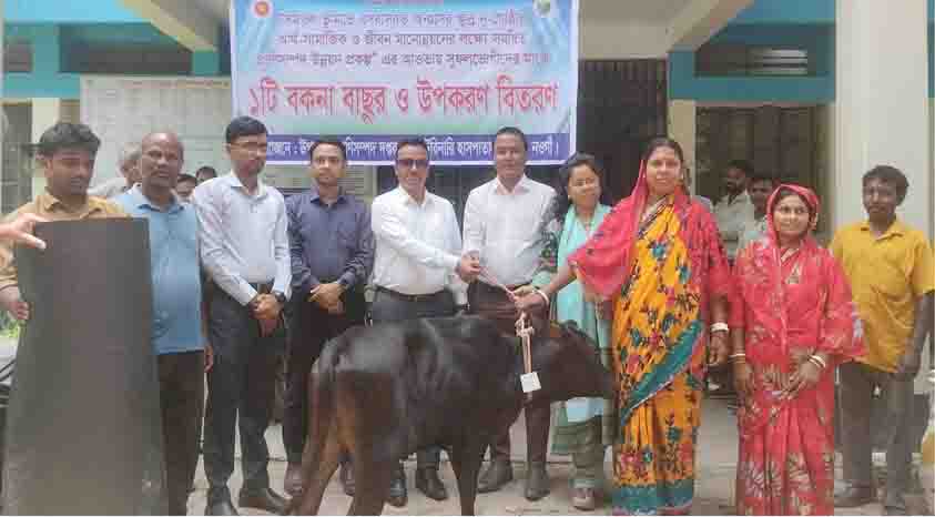 বকনা বাছুর ও উপকরণ বিতরণ