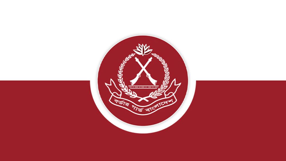 বিজিবি