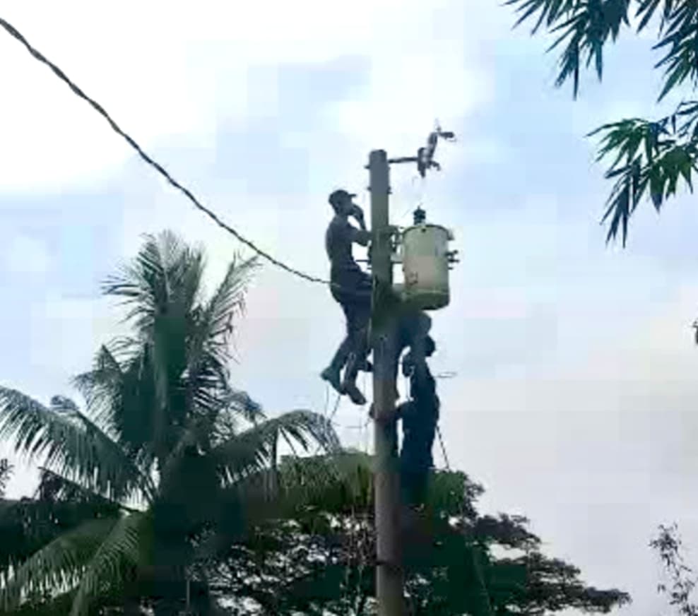 বিদ্যুৎ এর লাইনম্যানের মৃত্যু