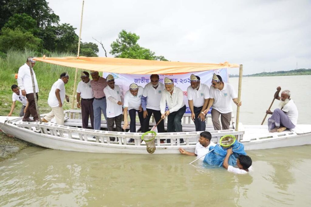 পুকুরে ইলিশ নিয়ে বাকৃবির গবেষণা