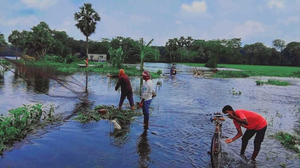 বন্যা