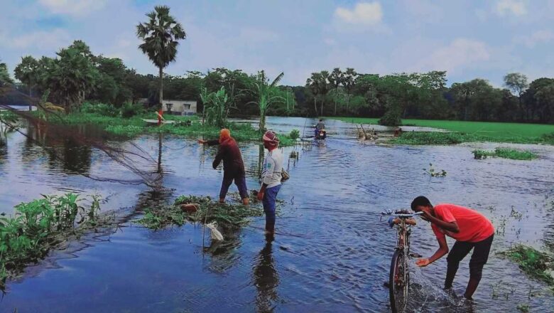 বিরামহীন বৃষ্টি  উজানের পানিতে ভাসছে শালিখার  ফসলের মাঠ,শতাধিক  ঘরবাড়ি শিক্ষা প্রতিষ্ঠান পানির মধ্যে।