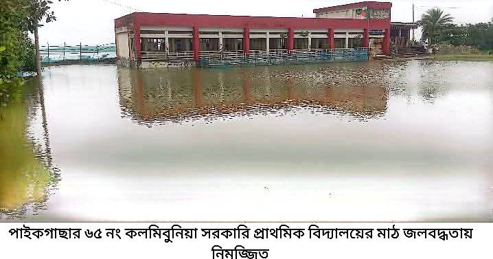পাইকগাছায় কলমিবুনিয়া সপ্রবি জলমগ্ন: শিক্ষক- শিক্ষার্থীদের ভোগান্তি 