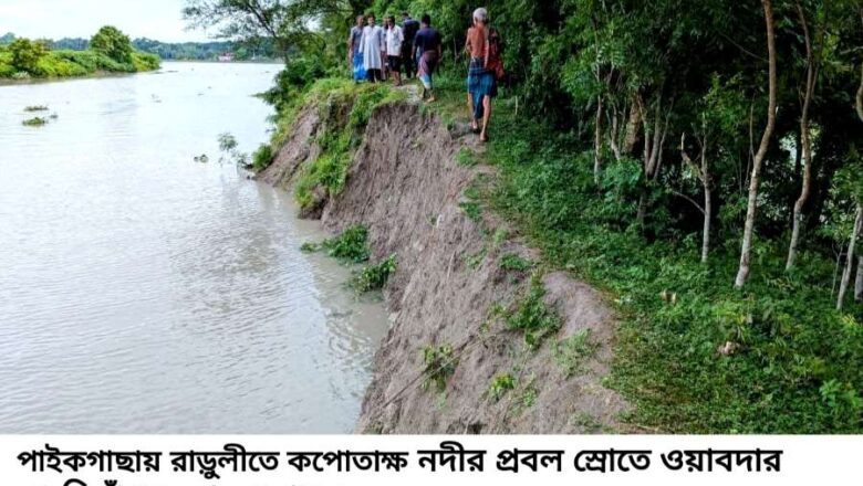কপোতাক্ষ নদীর বেড়িবাঁধে ভয়াবহ ভাঙন হুমকির মুখে রাড়ুলীর জনপদ