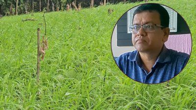 কফি ও কাজুবাদাম প্রকল্পের ক‌য়েক কোটি টাকা পি‌ডির পকে‌টে