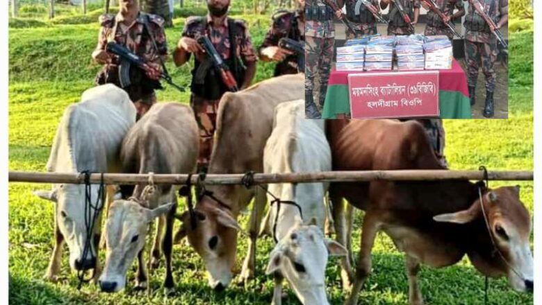 শেরপুর-হালুয়াঘাট সীমান্তে বিজিবির অভিযানে ১৬ লাখ টাকার ভারতীয় চোরাচালানী মালামাল জব্দ