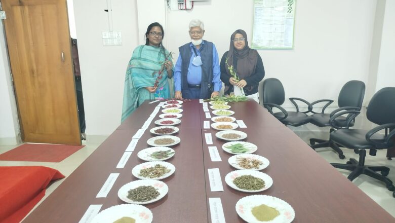 রোজেল: দেশে নতুন ইন্ডাস্ট্রিয়াল উদ্ভিদের নতুন সম্ভাবনা