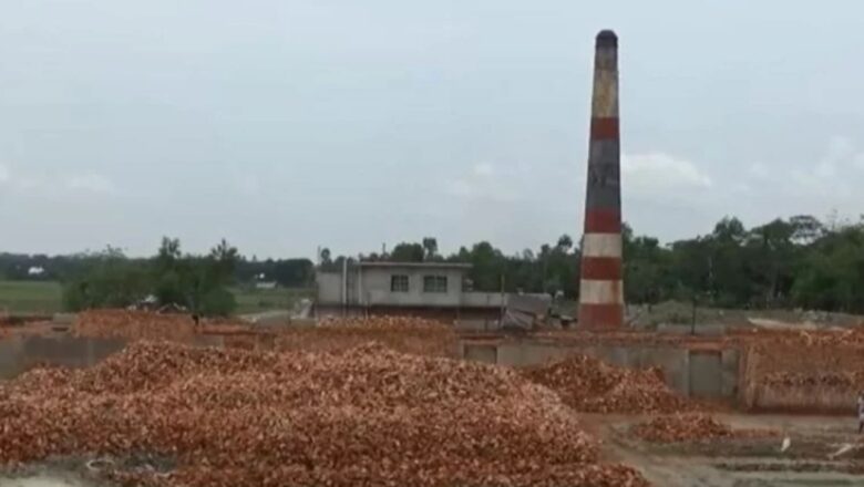 নাসিরনগরে ব্যাঙের ছাতার মতো গড়ে উঠেছে ইটভাটা, পরিবেশ হুমকিতে  